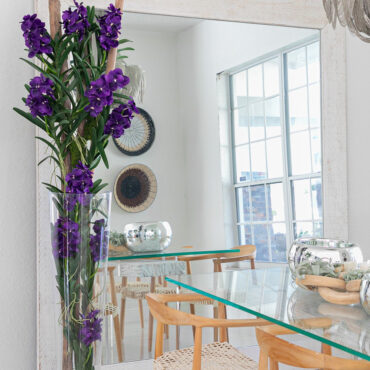 Orchidées Vanda Pourpres Et Bois Flotté Dans Un Cylindre En Verre Surdimensionné