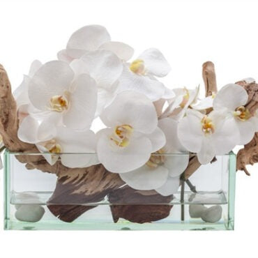 Orchidée Blanche Dans Un Vase Transparent