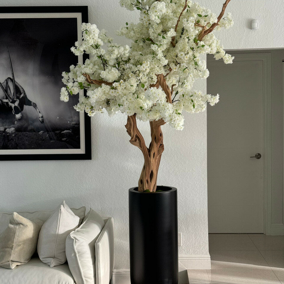 Cerisier Blanc Dans Un Cache‑Pot St. Tropez Noir Mat