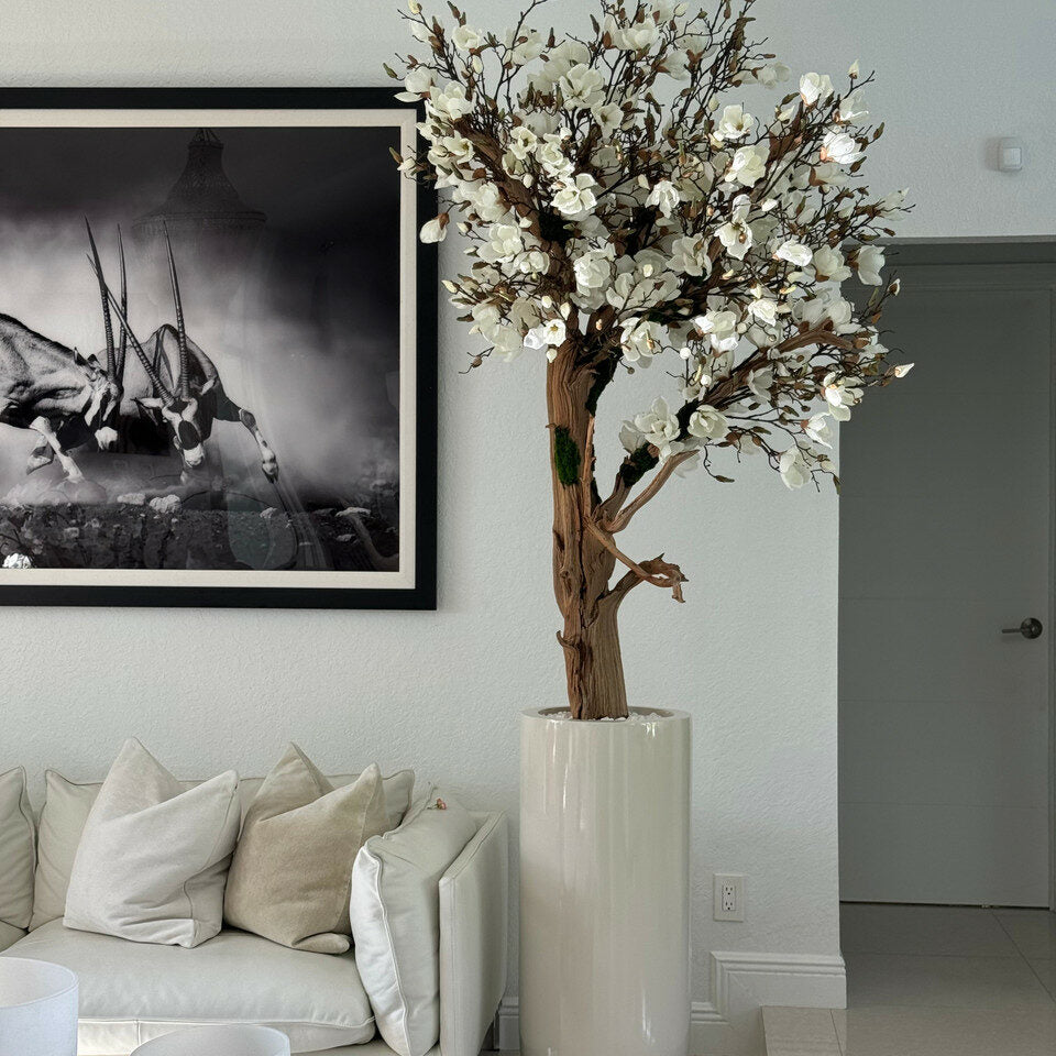 Magnolia Dans Un Cache‑Pot St. Tropez Beige Laqué