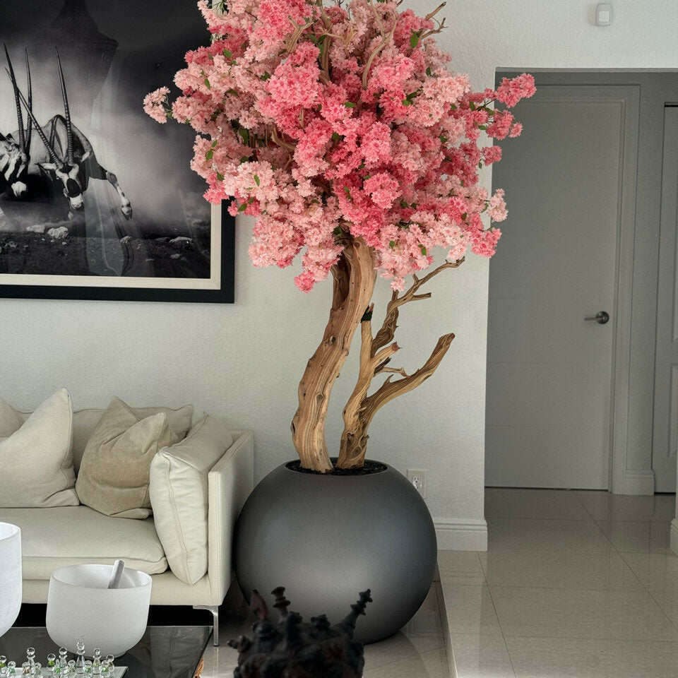 Fleurs De Cerisier Bicolores Dans Un Globe Gunmetal Mat
