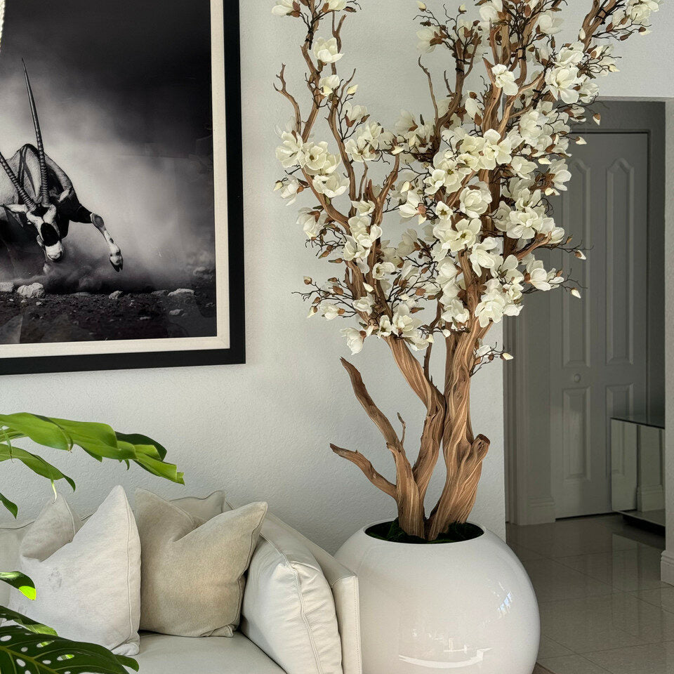 Magnolia Blanche Dans Un Vase Sphérique Laqué