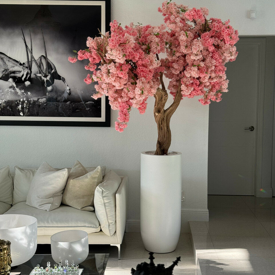 Cerisier Rose Dans Un Cache-Pot Blanc Mat