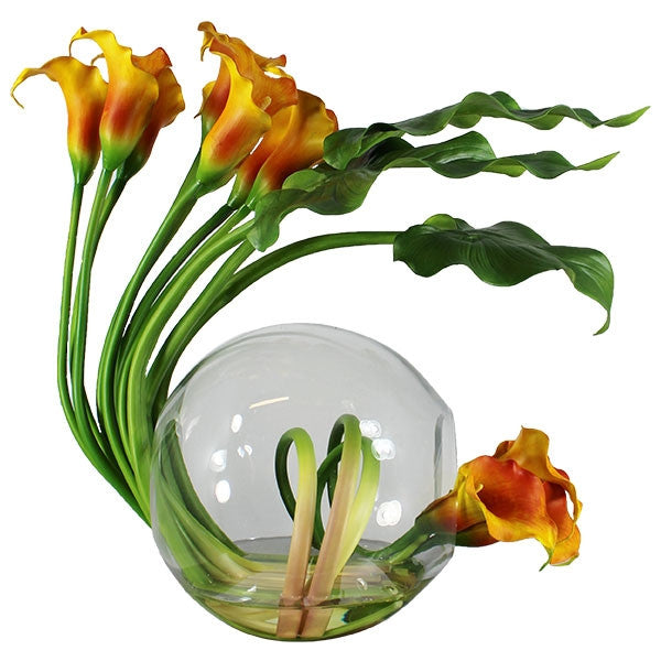 Arums Mangue Dans Un Vase Crosswinds