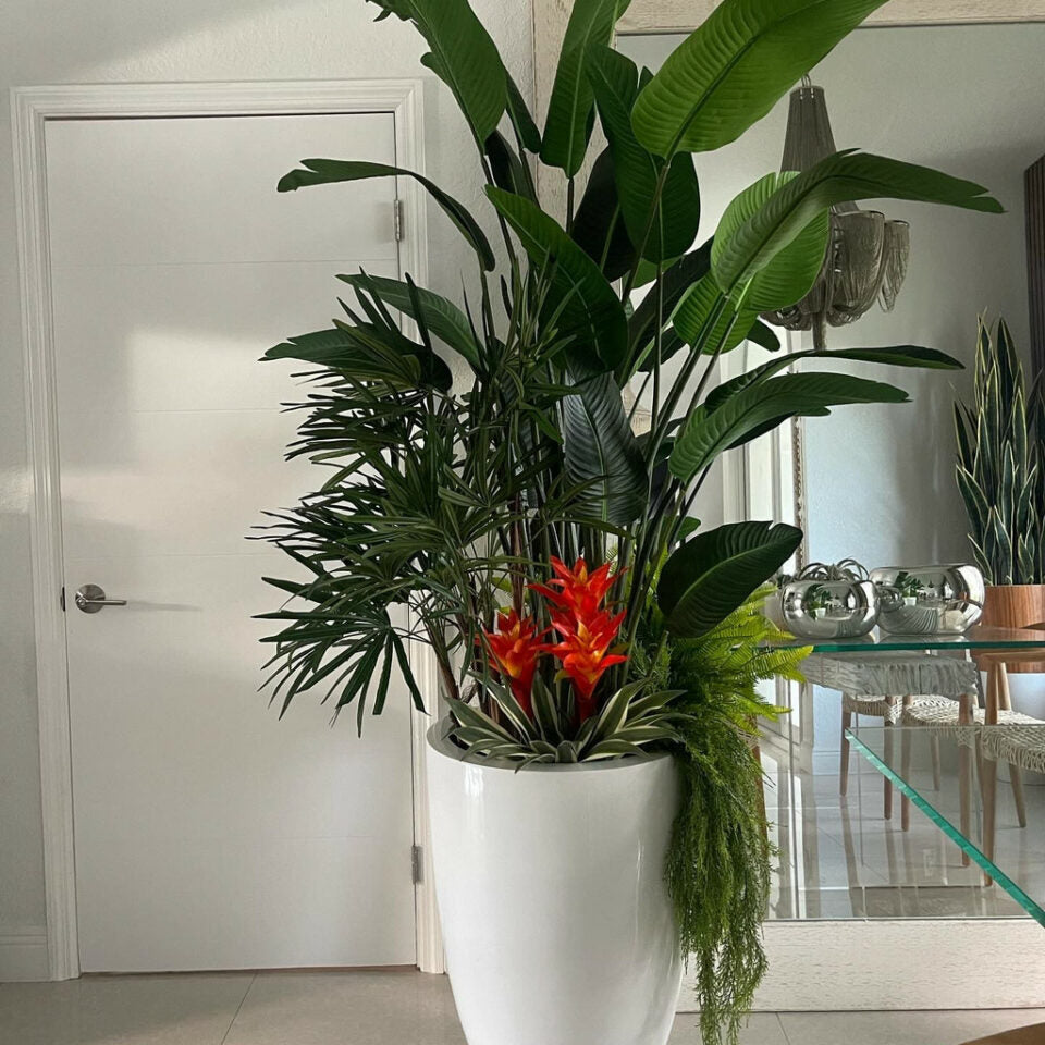 Plantes Tropicales Dans Un Cache-Pot Blanc Laqué